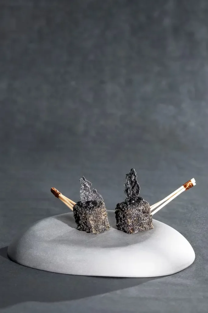 Hector Traiteur Shooting de la carte culinaire de Hector Traiteur par JP Combeau Photographe